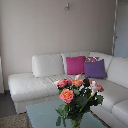 Iris Apartment